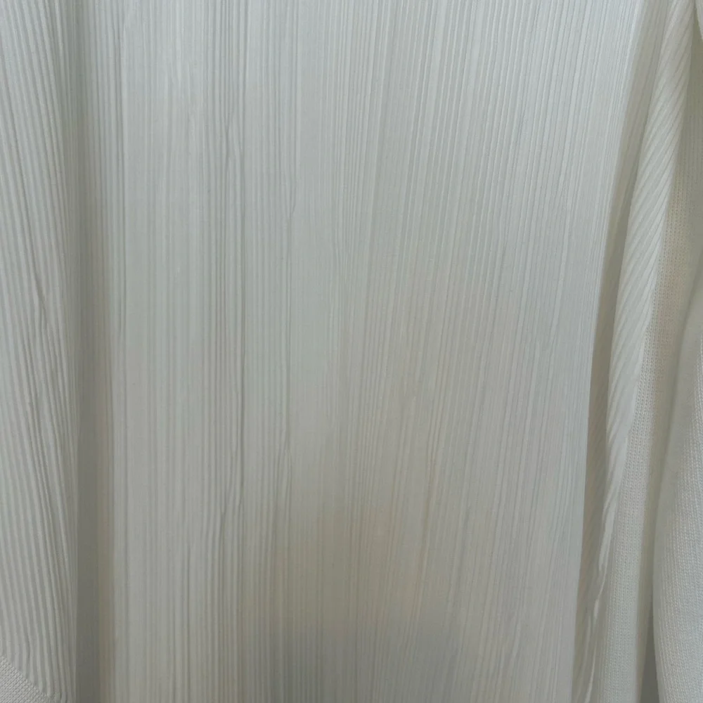 Zara Ivory Ribbed Blouse - Picture 5 of 6